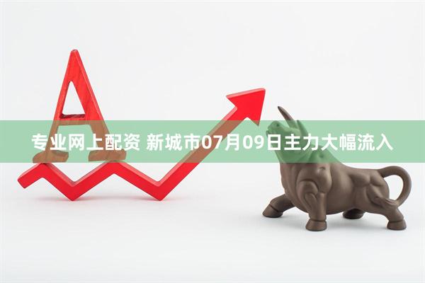 专业网上配资 新城市07月09日主力大幅流入