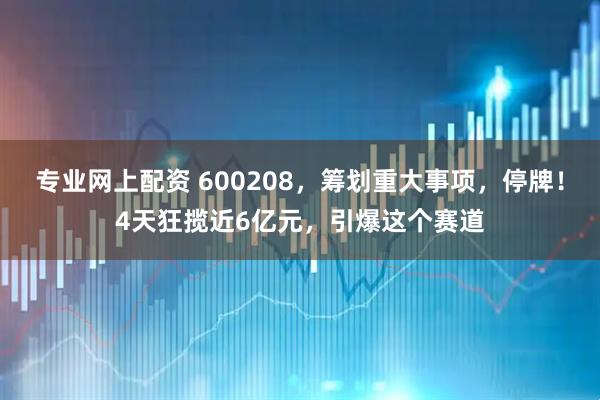 专业网上配资 600208，筹划重大事项，停牌！4天狂揽近6亿元，引爆这个赛道